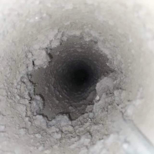 1 year lint buildup