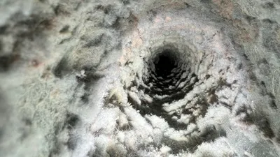 2 year lint buildup