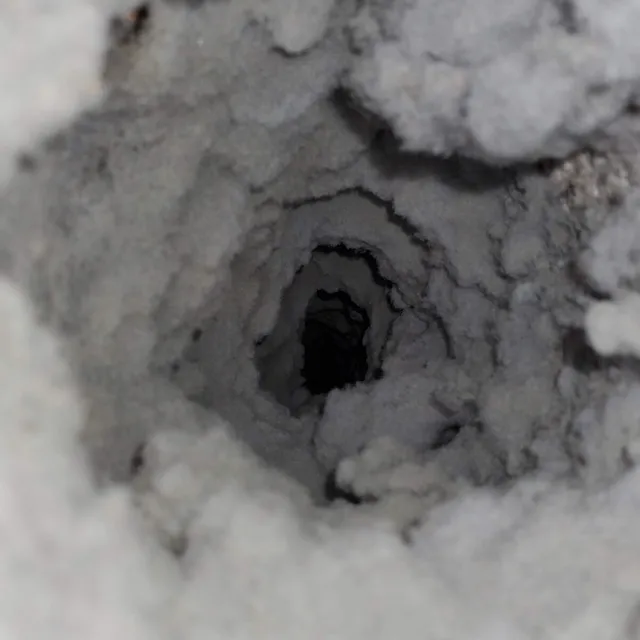 3 year lint buildup