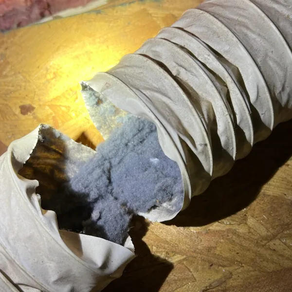 Plastic flex easily rips and tears