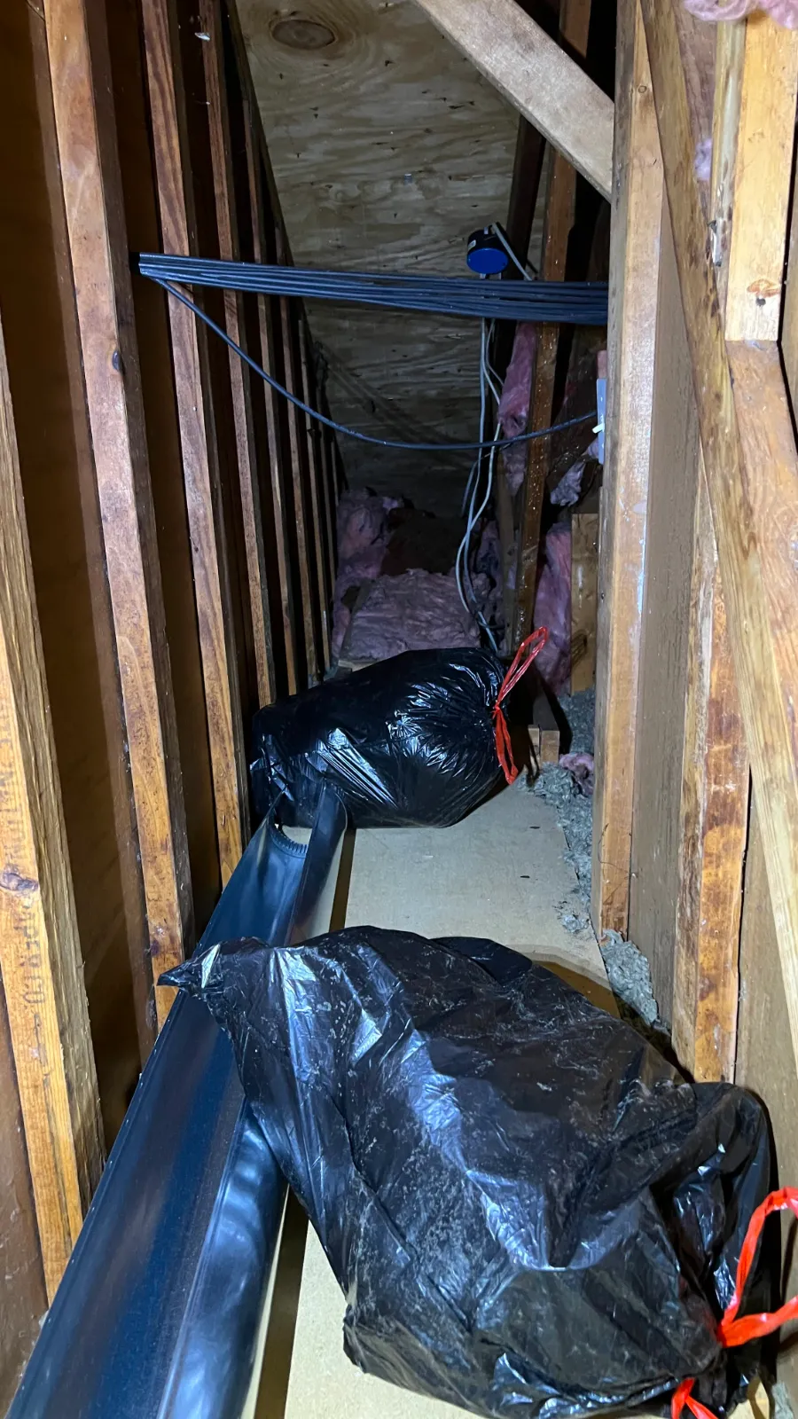 Haul away trash from attic