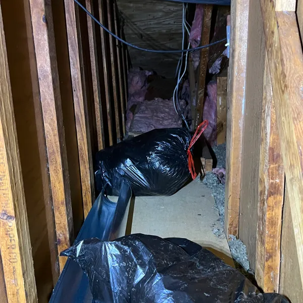 Haul away trash from attic