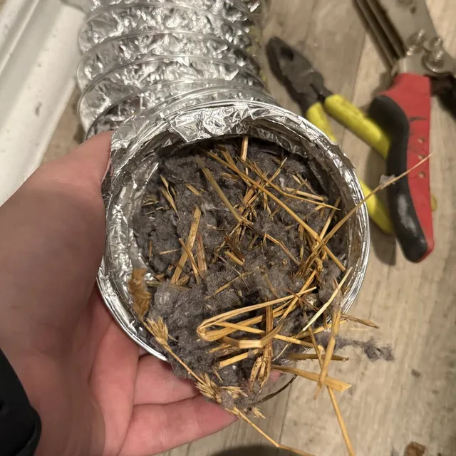 Bird nest material inside a dryer transition tube in northeast Greensboro