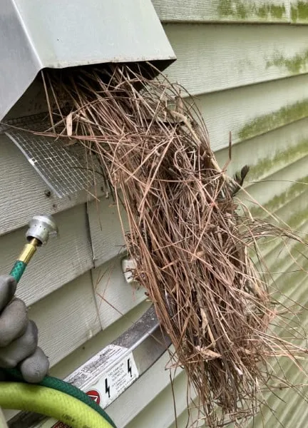 Bird nest removal using air tools
