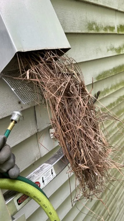 Bird nest removal using air tools