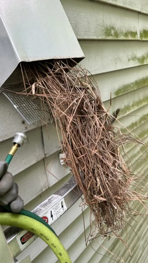 Bird nest removal using air tools