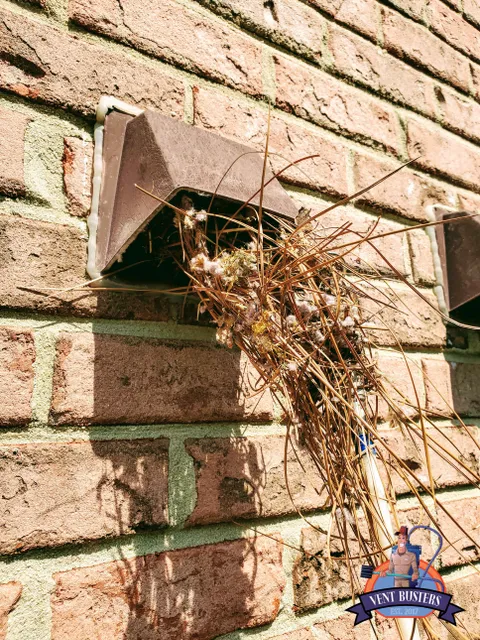 Bird nest removal