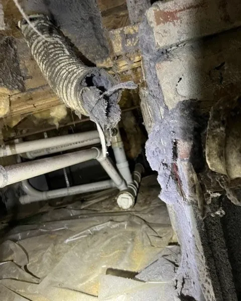 Broken dryer vent