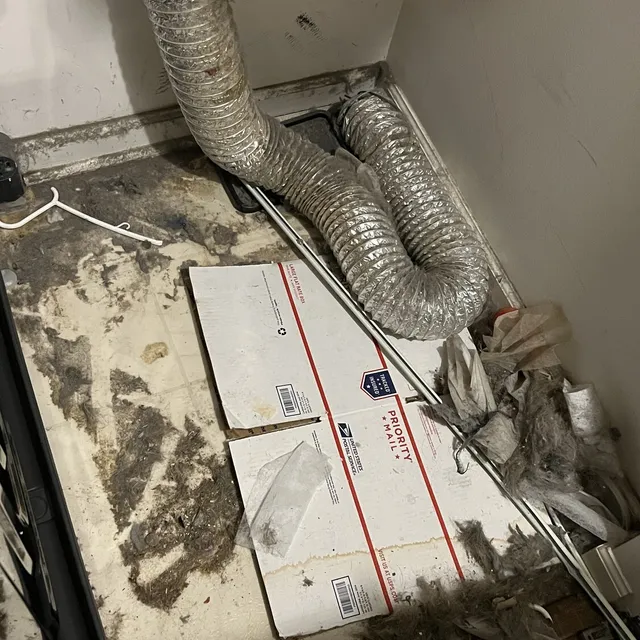 Split foil dryer hose dumping lint behind a dryer in a Coble Farm laundry room