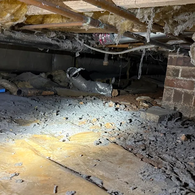 Broken semi-rigid dryer vent dumping lint onto the dirt in a Hamilton Forest Greensboro crawlspace