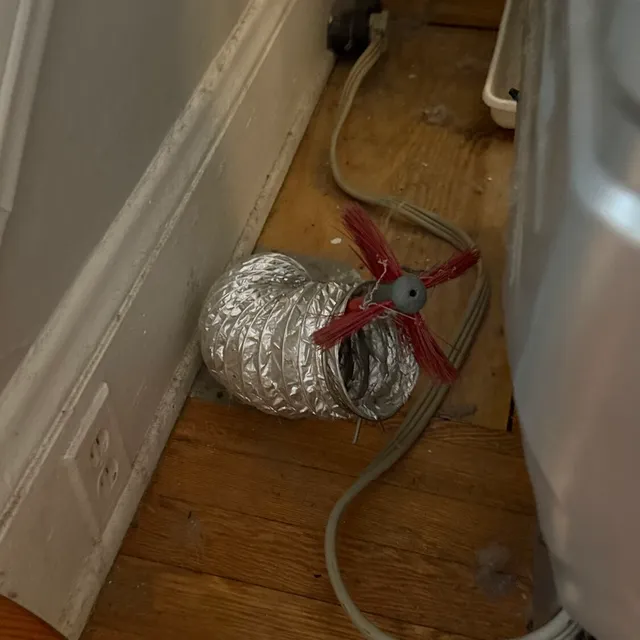 Vent brush coming out of the foil transition behind a Westerwood dryer