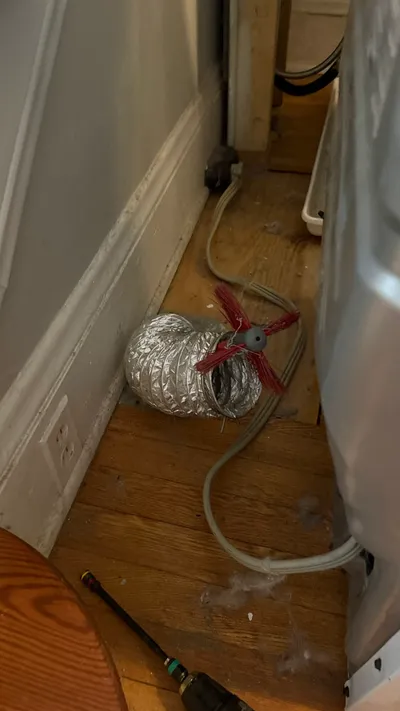 Vent brush coming out of the foil transition behind a Westerwood dryer