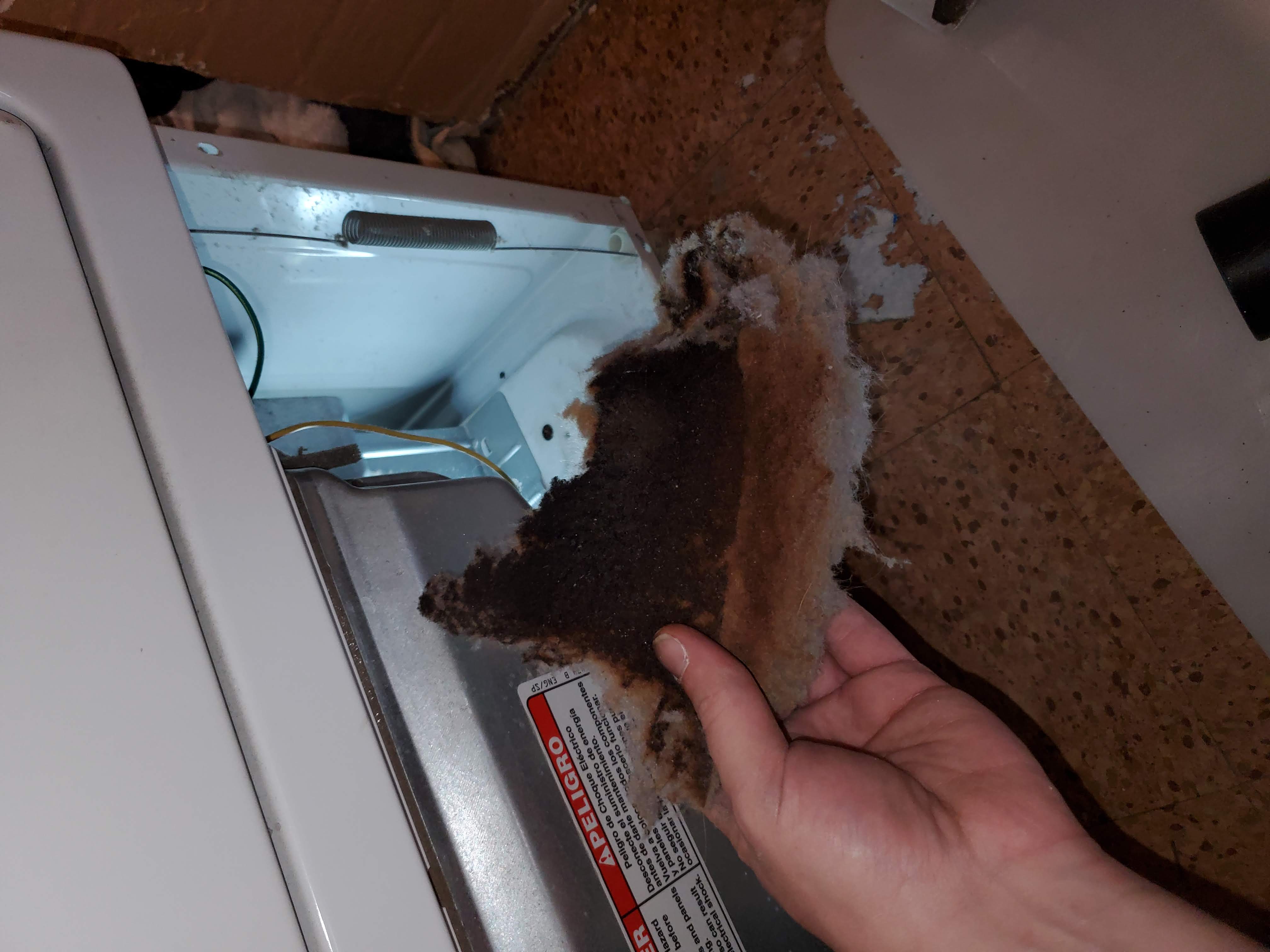Burnt lint buildup inside a dryer near heat sources