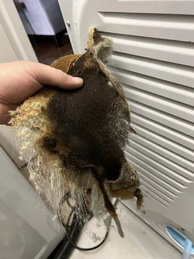 Burned dryer lint