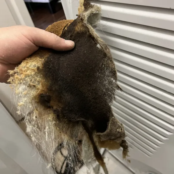 Burnt lint removed from a dryer vent