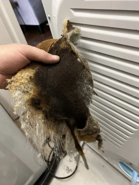 Burnt lint removed from a dryer vent