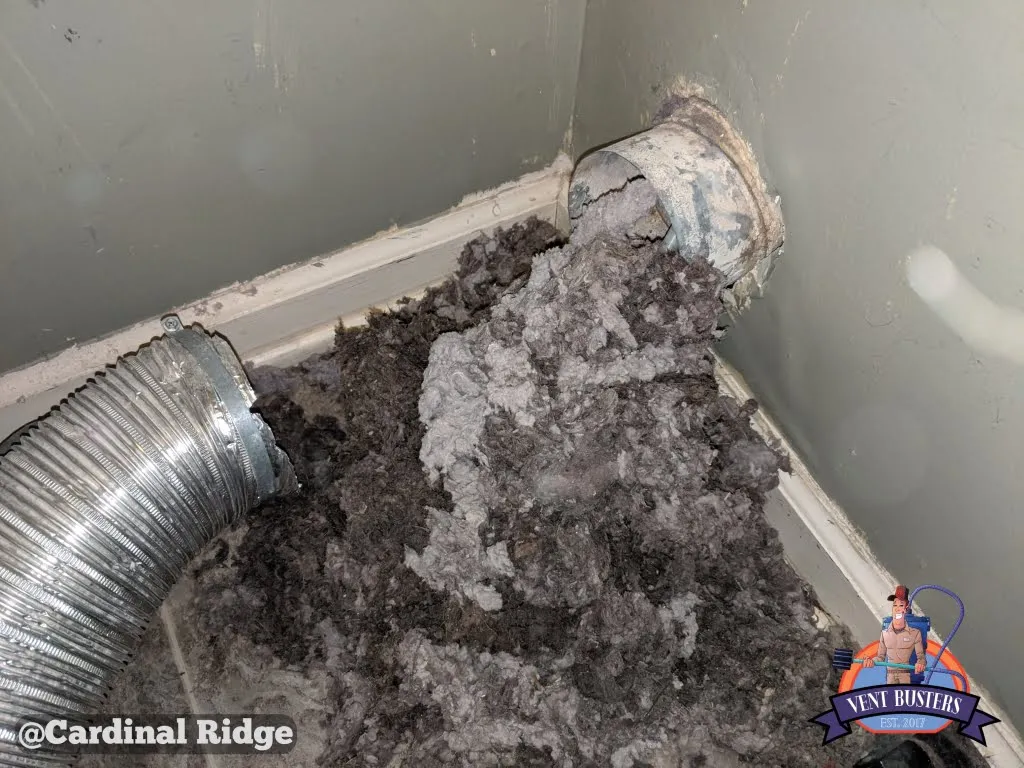 Dryer vent before and after cleaning Cardinal Ridge
