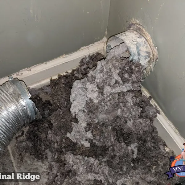 Dryer vent before and after cleaning Cardinal Ridge
