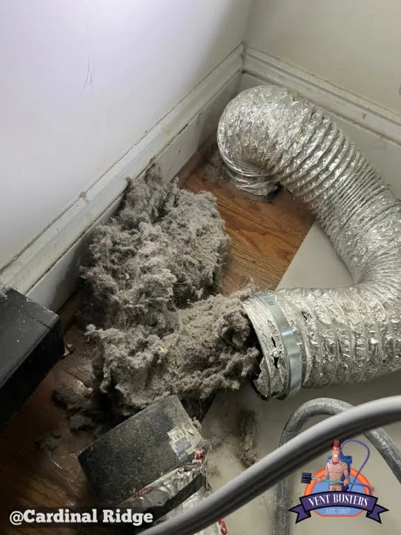 Lint removal from dryer vent Cardinal Ridge