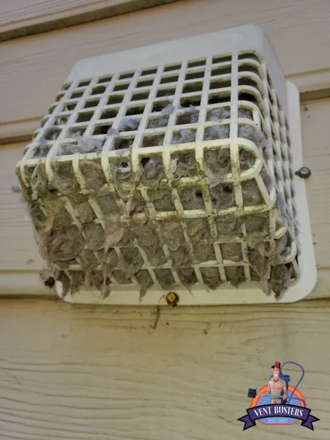 Clogged bird guard