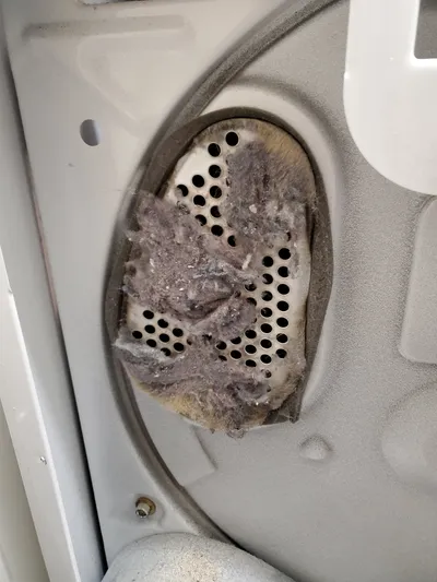Clogged dryer air intake with lint buildup