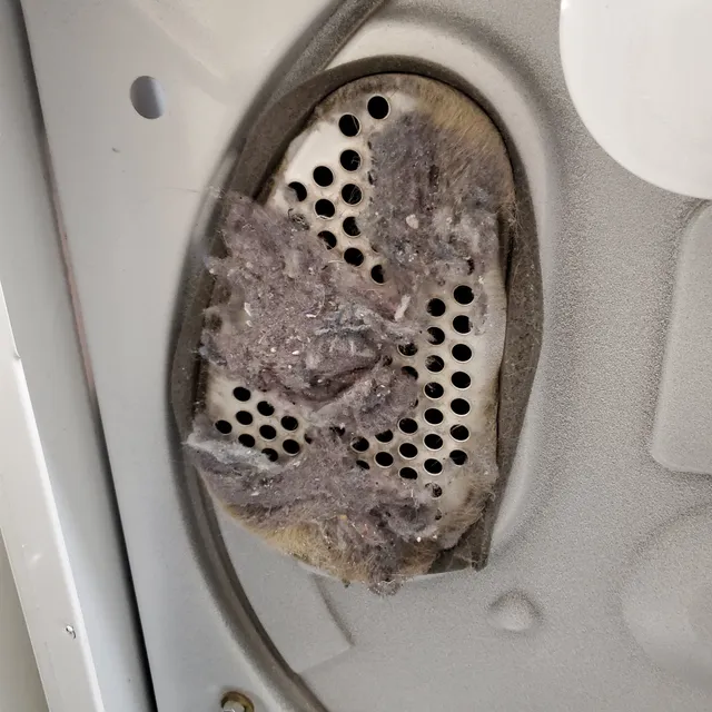 Clogged dryer air intake with lint buildup