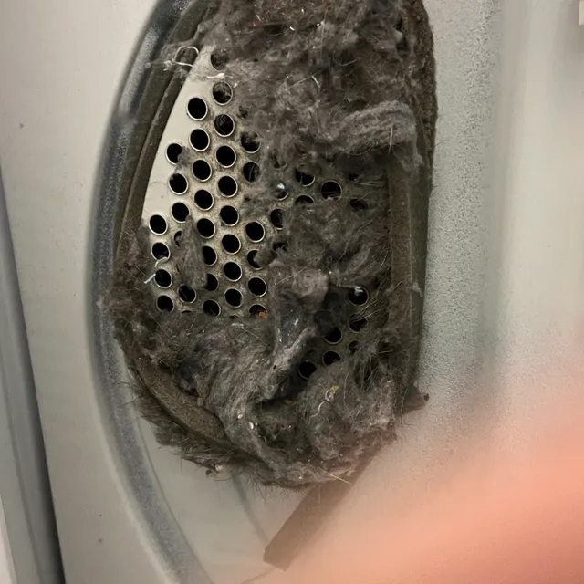 Clogged dryer intake