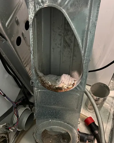 Lint in the lint trap housing and intake of a dryer at Friendly Acres Townhomes