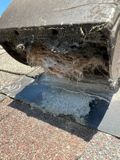 Clogged roof vent cover Ashley Woods Gibsonville