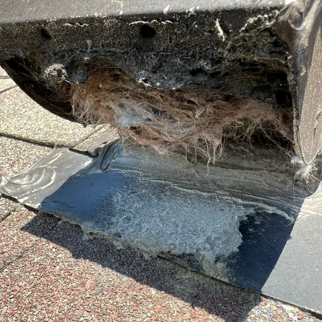 Clogged roof vent cover Ashley Woods Gibsonville