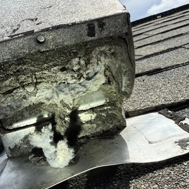 Roof dryer vent cover packed with lint in Waterbury Whitsett