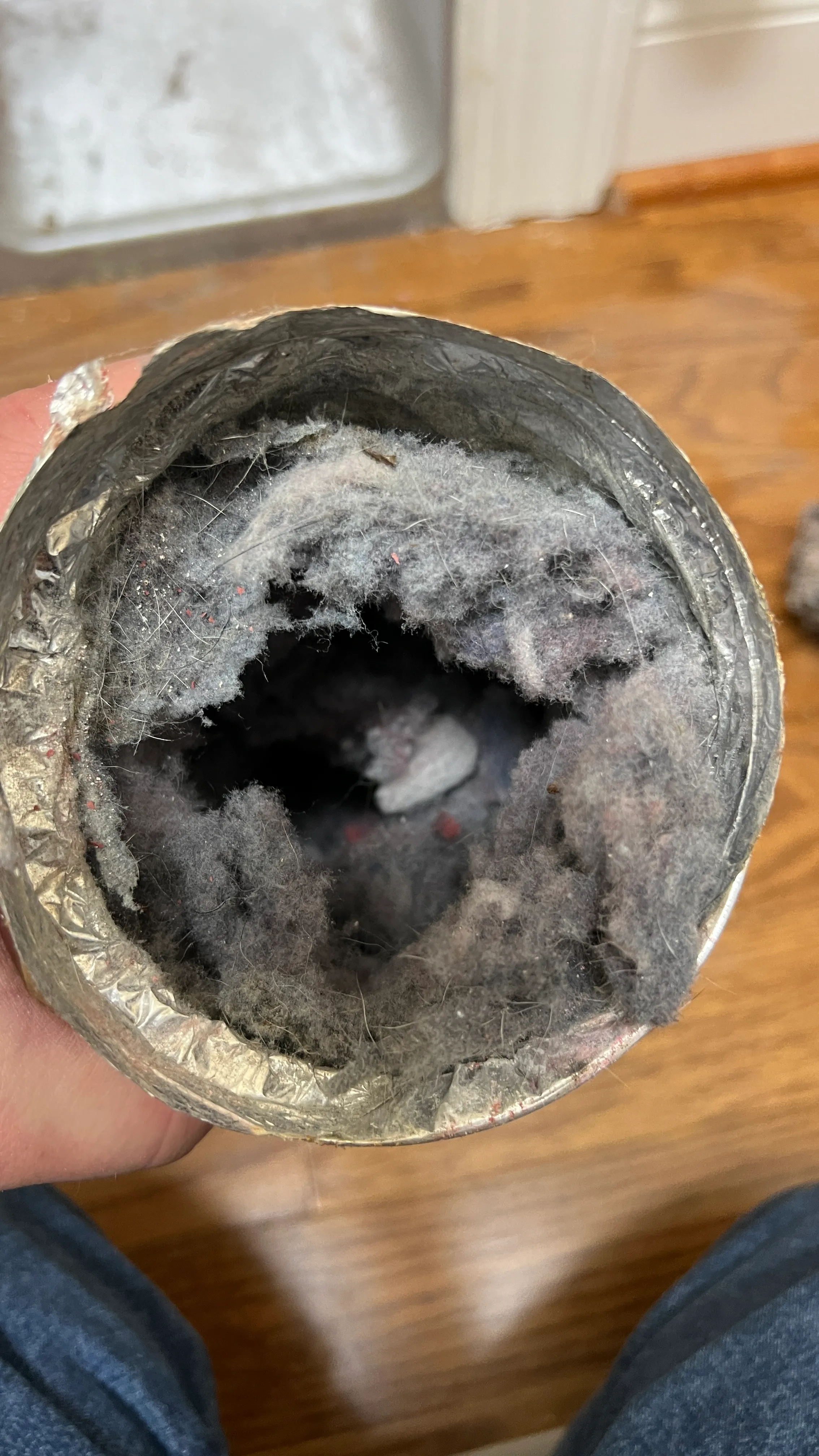 Clogged transition hose before cleaning Stone Mill Village