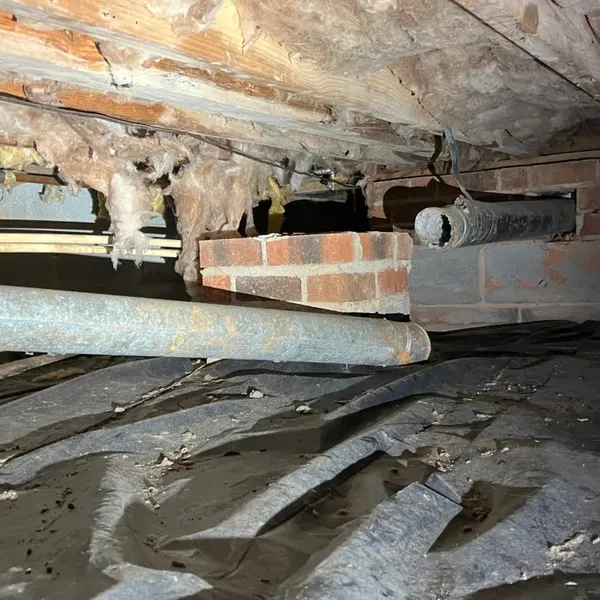 Collapsed dryer vent Park Place Greensboro