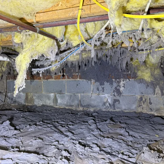 Decade of dryer lint covering a Northern Shores Greensboro crawlspace vapor barrier