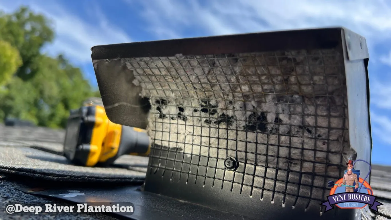 Disconnected dryer vent in attic Deep River Plantation