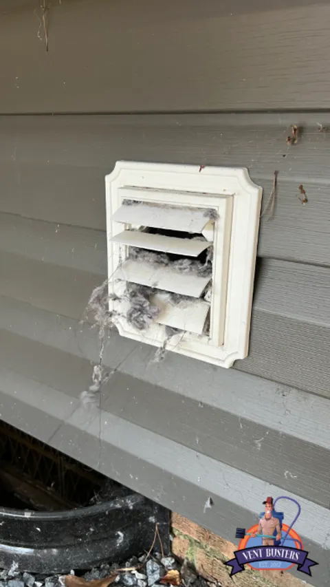 Dirty dryer vent cover