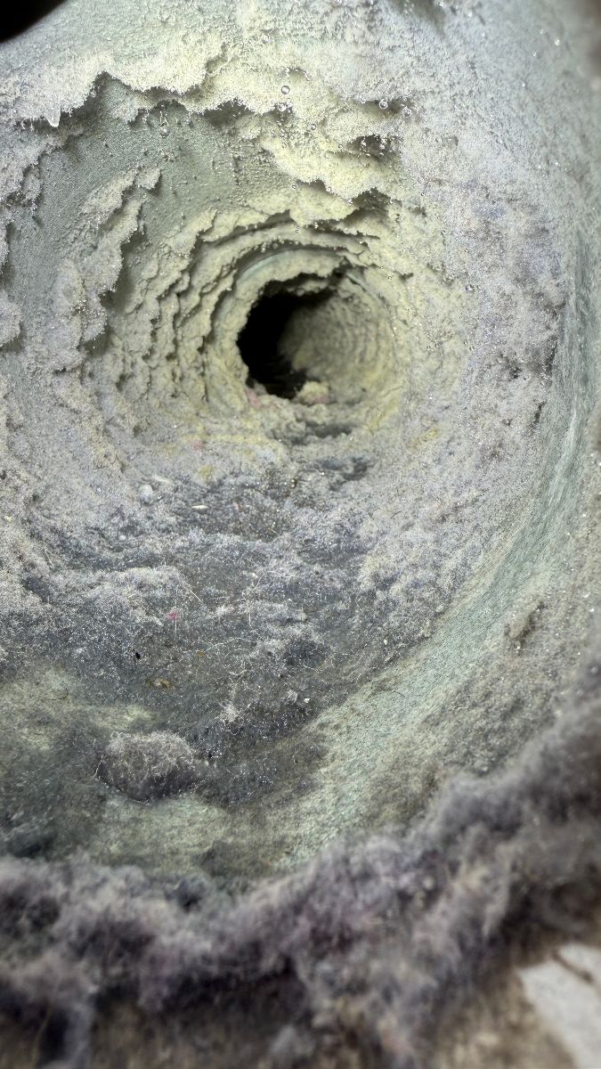Dirty dryer vent before cleaning Ashley Woods