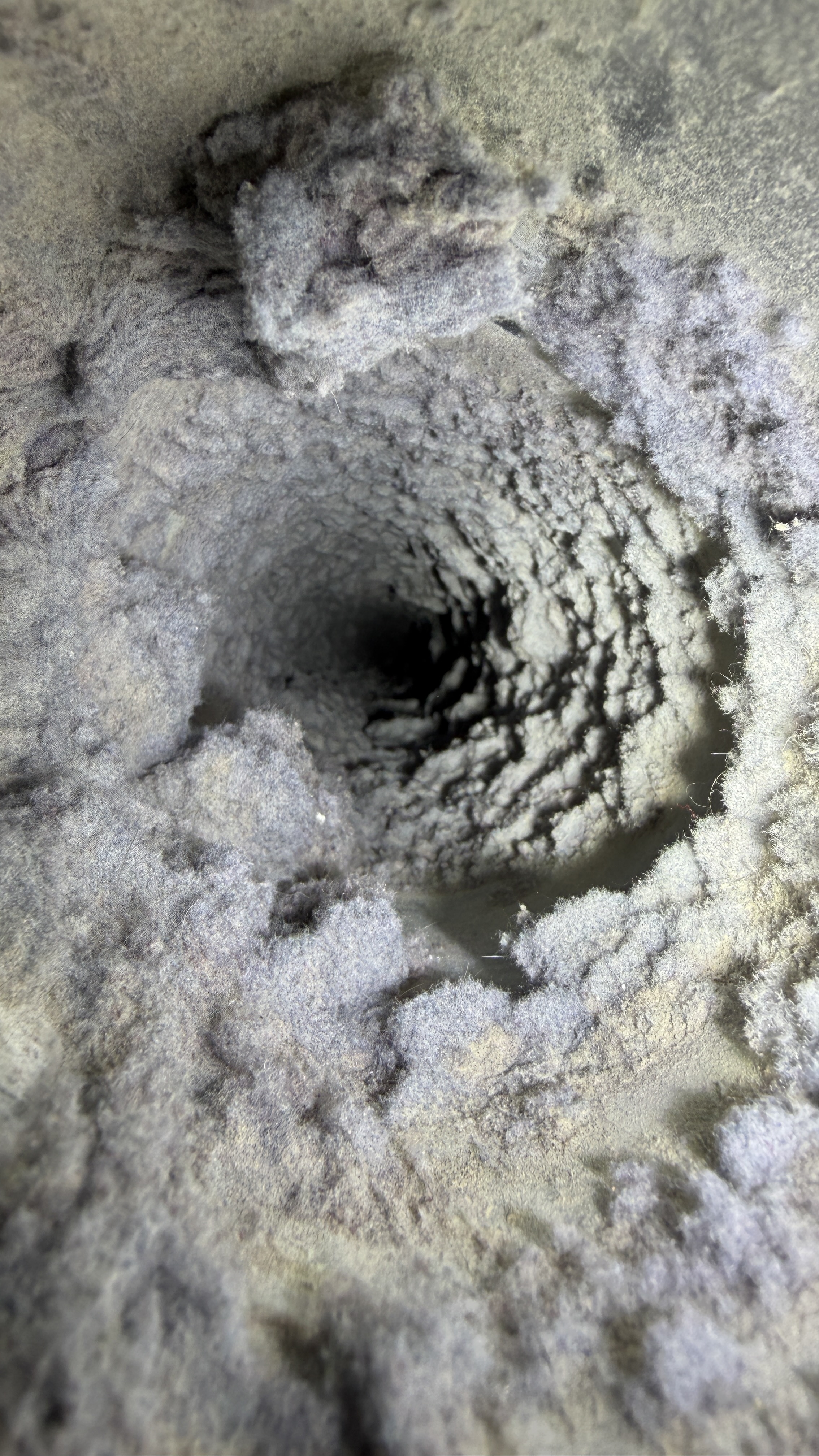 Inside dryer vent before cleaning at The Trellises