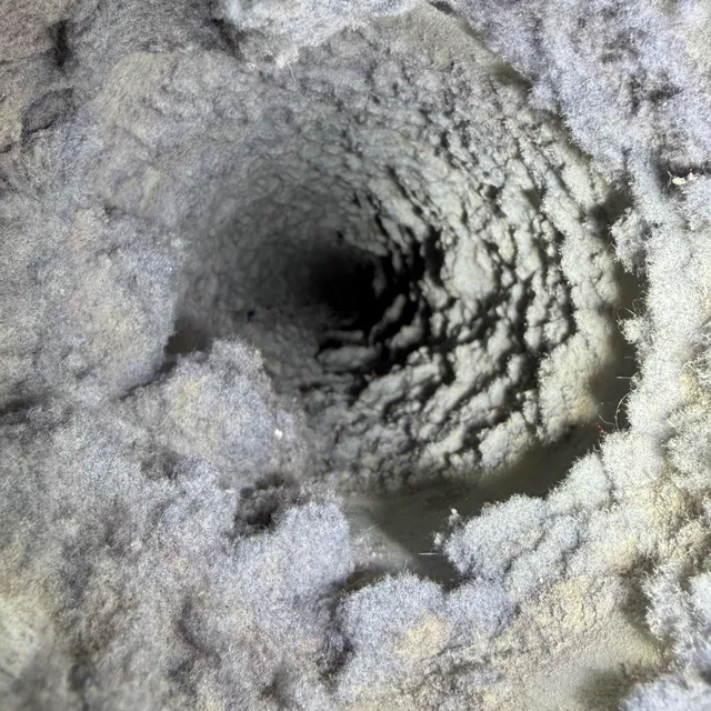 Inside dryer vent before cleaning at The Trellises