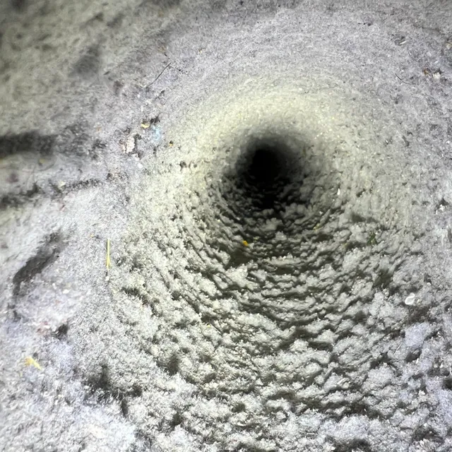 Lint-clogged dryer vent showing restricted airflow