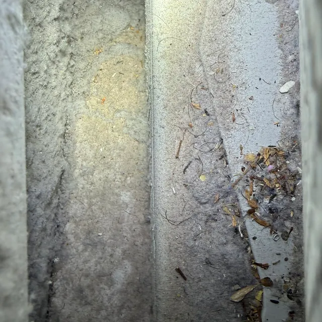 Dust and hair packed in a dryer lint trap housing in Sunset Hills Greensboro