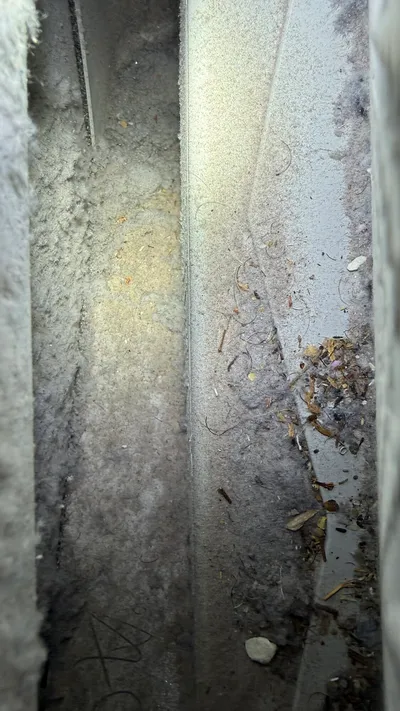 Dust and hair packed in a dryer lint trap housing in Sunset Hills Greensboro