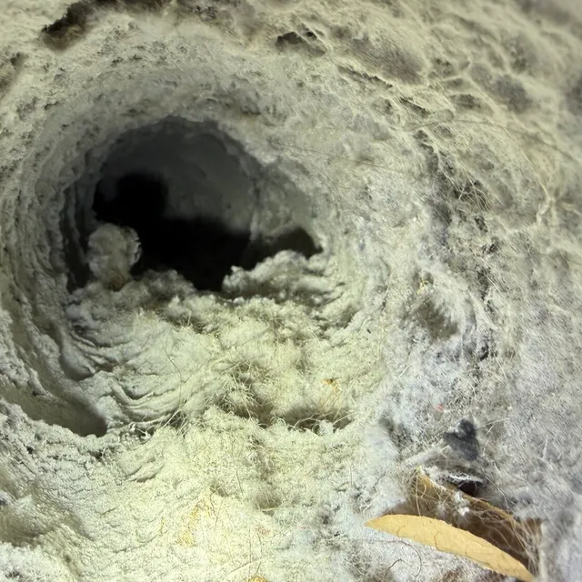 Lint buildup inside a townhome dryer vent at Friendly Acres Townhomes Greensboro