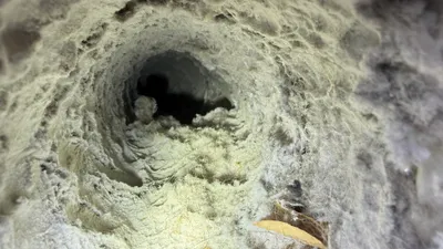 Lint buildup inside a townhome dryer vent at Friendly Acres Townhomes Greensboro