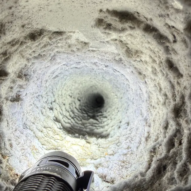 Lint packed inside a dirty dryer vent in New Irving Park Greensboro