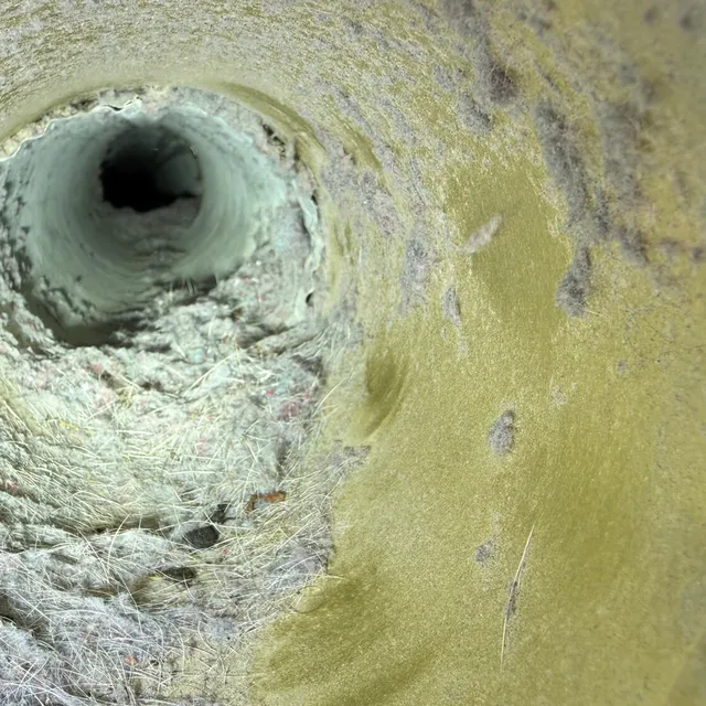 Lint and hair coating the inside of a dryer vent in Northern Shores Greensboro