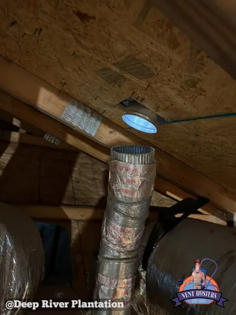 Mesh trap catching lint in roof vent Deep River Plantation