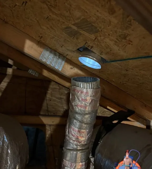 Disconnected dryer vent at roof