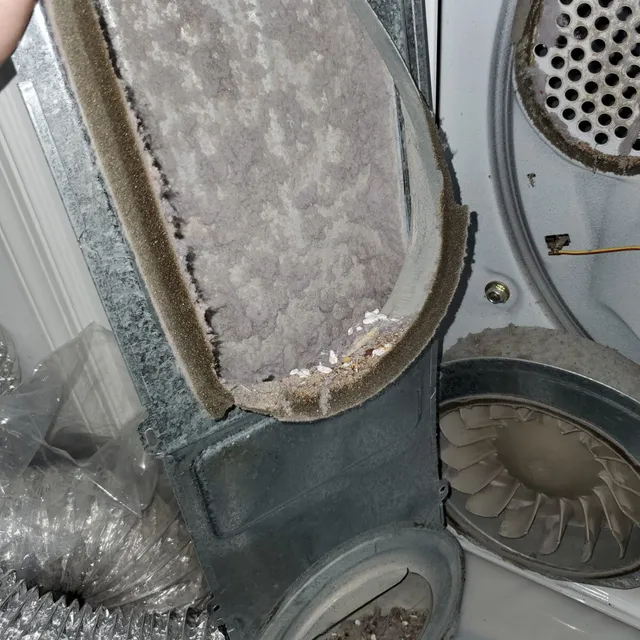 Dryer lint trap