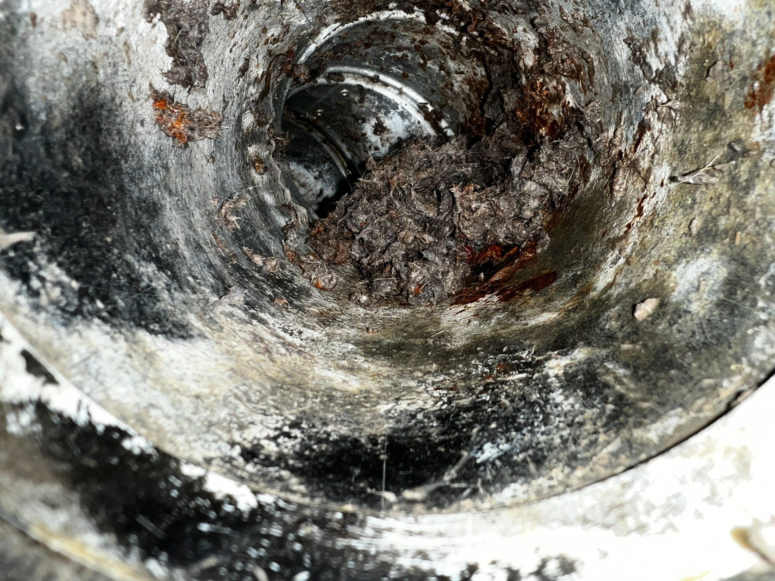 Dryer vent with bad smell from moldy lint